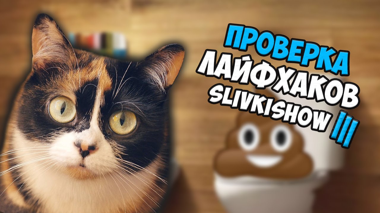 Дима Масленников ПРОВЕРКА лайфхаков с канала SlivkiShow 3 | Лайфхак для туалета