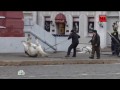 Обезумевшие лошади на Красной площади