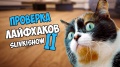 Дима Масленников ПРОВЕРКА лайфхаков с канала Slivkishow 2 | Макс Брандт